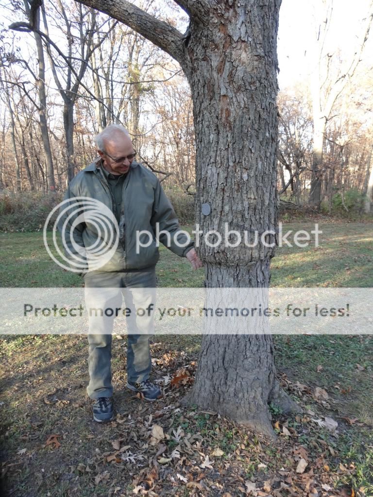 photo PecanColbygraftedonCaryaovatawithGaryFernald_zpsc99b075d.jpg